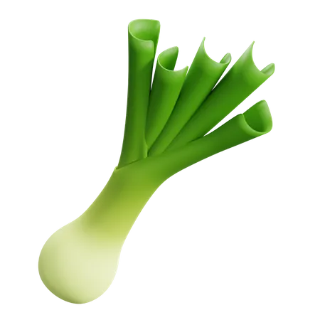 Leek  3D Icon