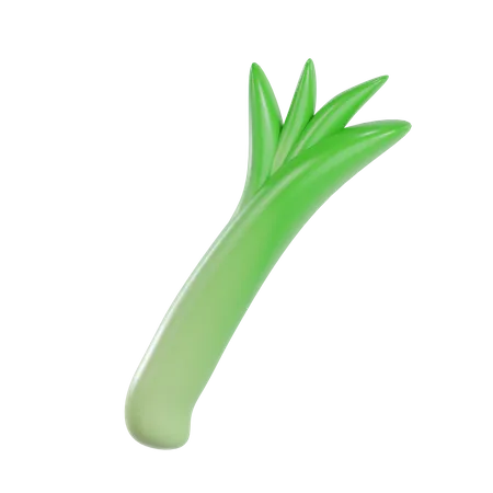 Leek  3D Illustration