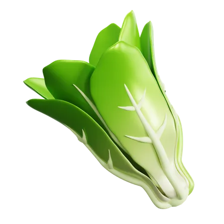 Lettuce  3D Icon