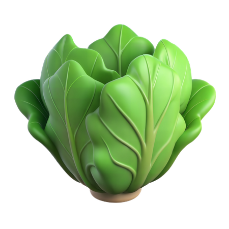 Lettuce  3D Icon