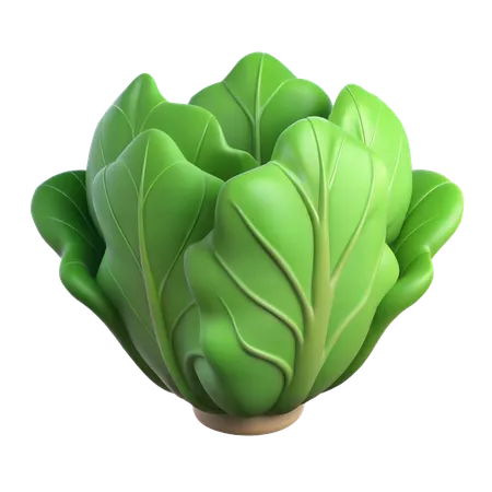 Lettuce  3D Icon