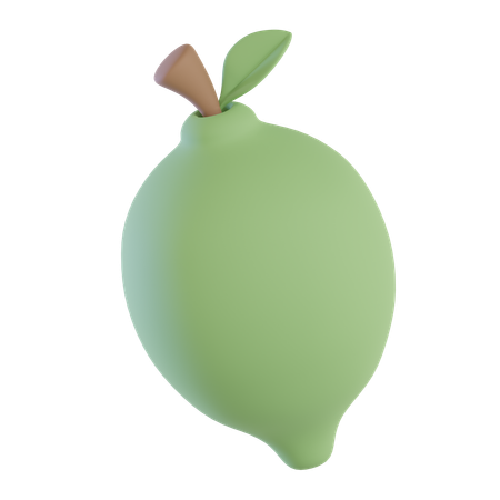 Lime  3D Icon