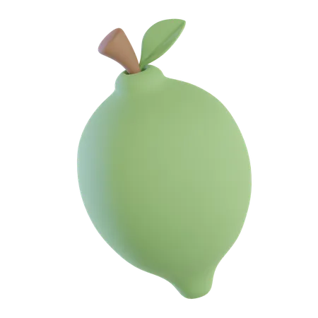 Lime  3D Icon