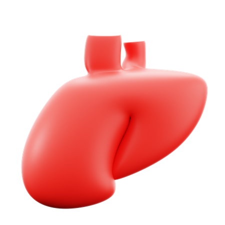 Liver  3D Icon