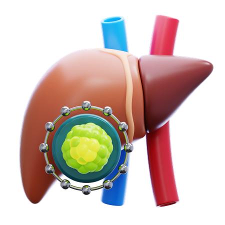 Liver Cancer  3D Icon