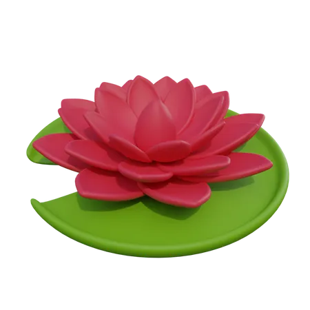 Lotus  3D Icon