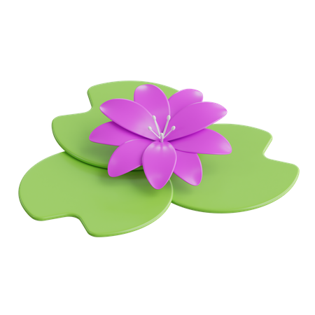 Lotus  3D Icon