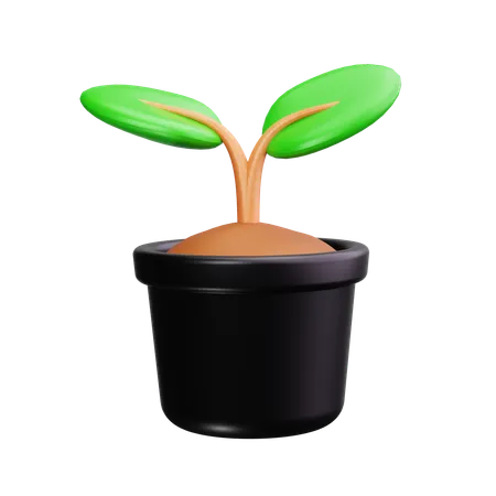 Maceta  3D Icon