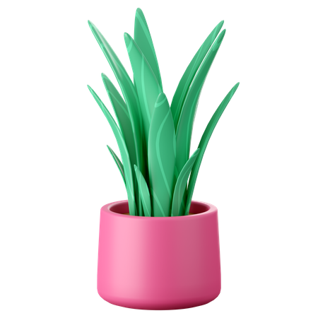 Maceta de plantas  3D Icon