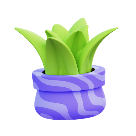 Maceta de hierba  3D Icon