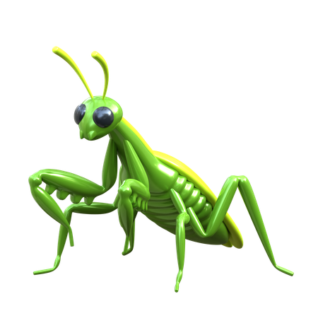 Mantis  3D Icon