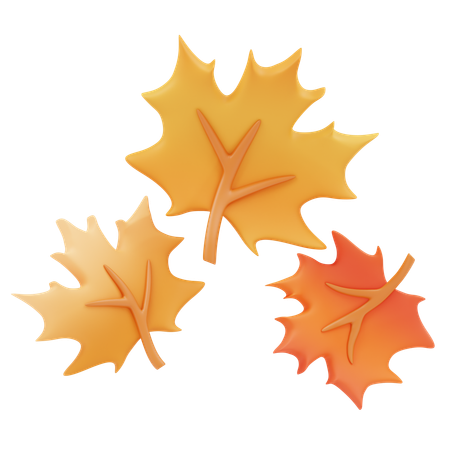 Maple leaves  3D Icon