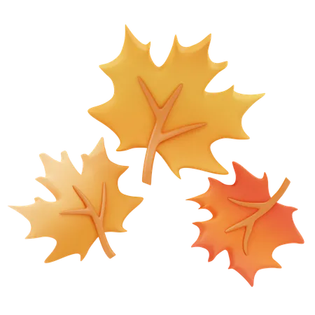 Maple leaves  3D Icon