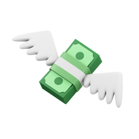 Money fly  3D Icon