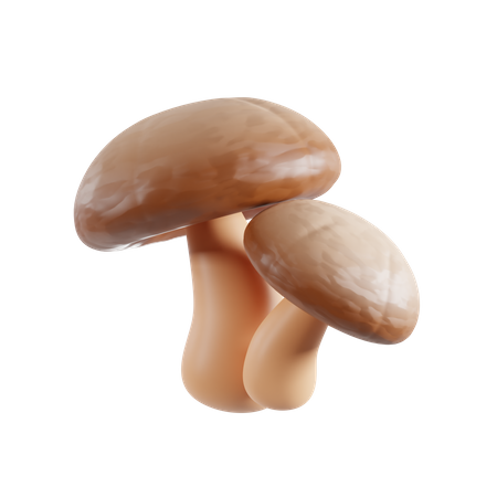 Mushroom  3D Icon