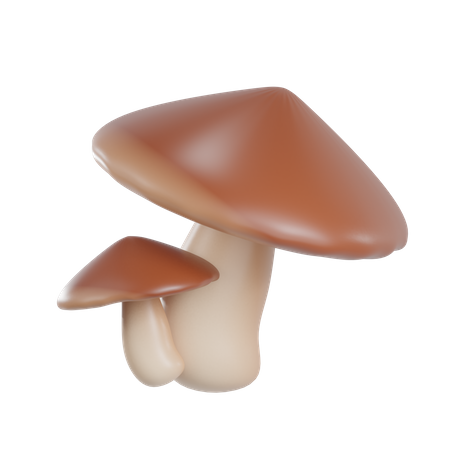 Mushroom  3D Illustration