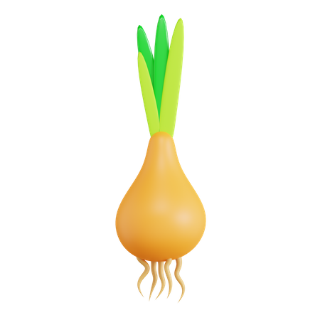 Onion  3D Icon