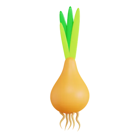 Onion  3D Icon