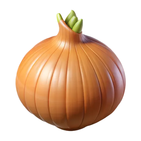 Onion  3D Icon