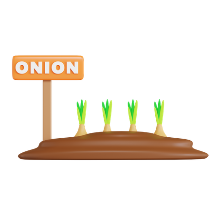 Onion Field  3D Icon