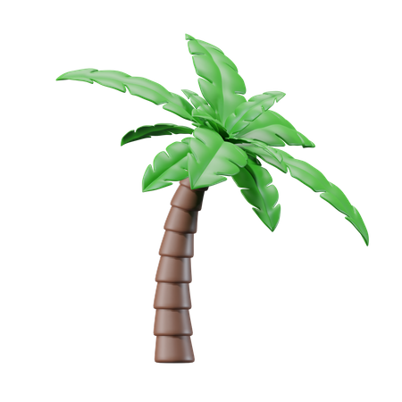 Palm Tree  3D Icon