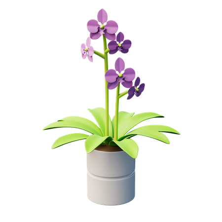 Plante d'orchidée papillon  3D Icon