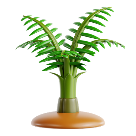 Parlor Palm  3D Icon