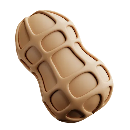 Peanut  3D Icon