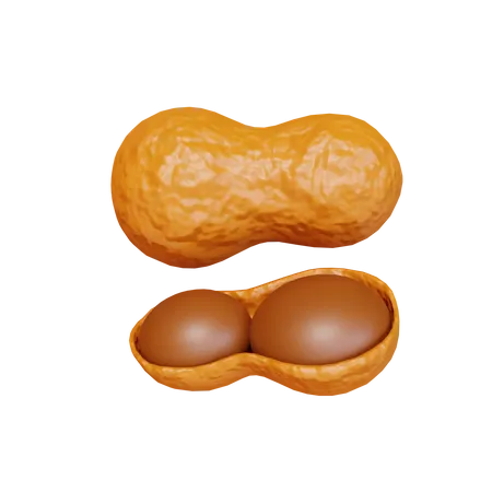 Peanut  3D Icon