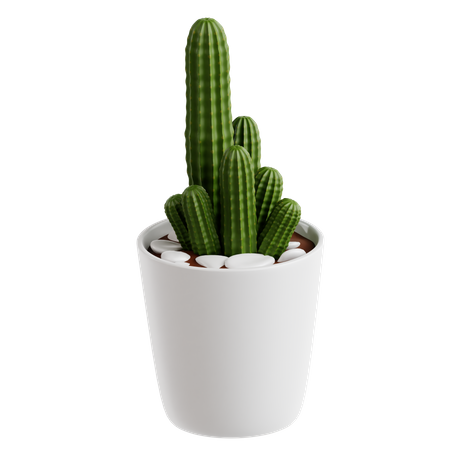 Peanut Cactus  3D Icon