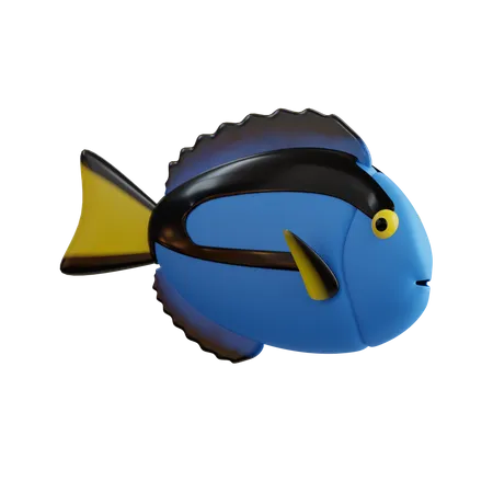 Peixe espiga azul  3D Icon