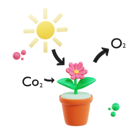 Photosynthesis  3D Icon