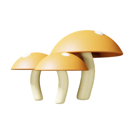 Pilz  3D Illustration