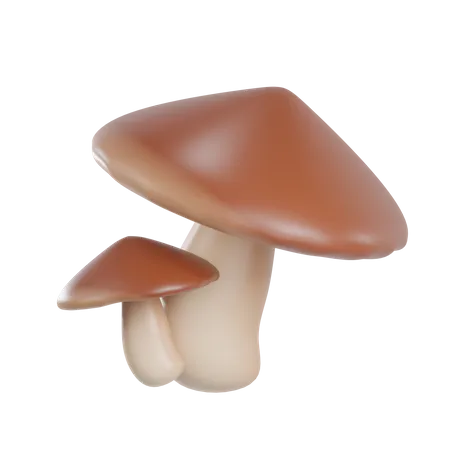 Pilz  3D Illustration