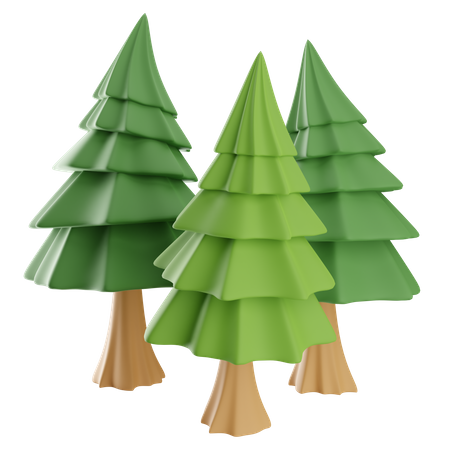 Pine Tree  3D Icon