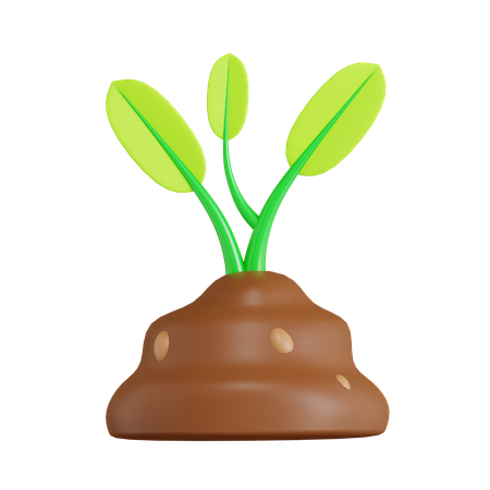 Plant  3D Icon