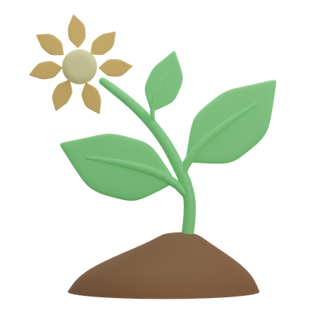 Plant  3D Illustration