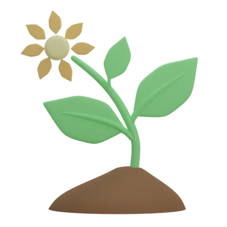 Plant  3D Illustration