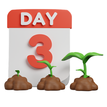 Plant Growth Period  3D Icon