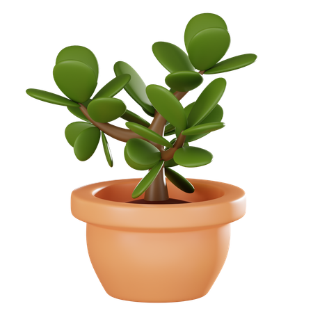 Plant Pot  3D Icon