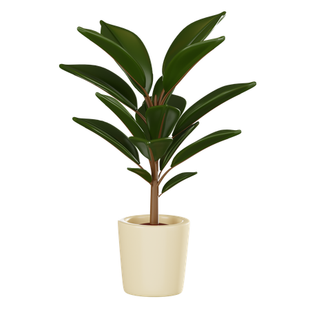 Plant Pot  3D Icon