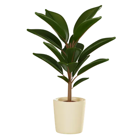 Plant Pot  3D Icon