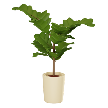 Plant Pot  3D Icon