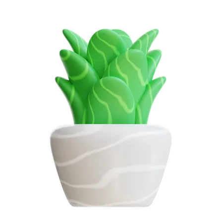 Plant Pot  3D Icon