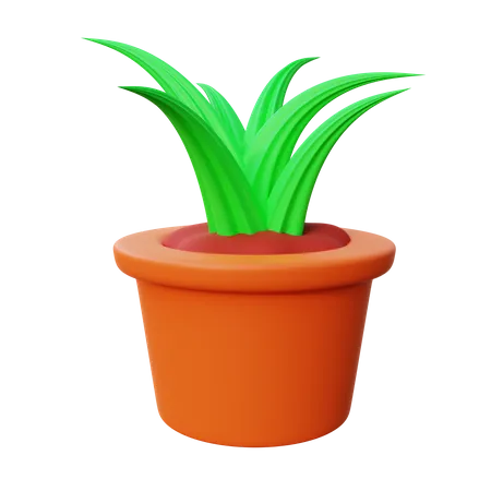 Plant Pot  3D Icon