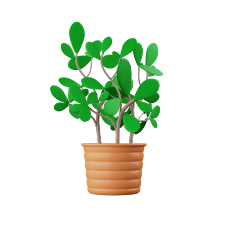 Plant Pot  3D Icon