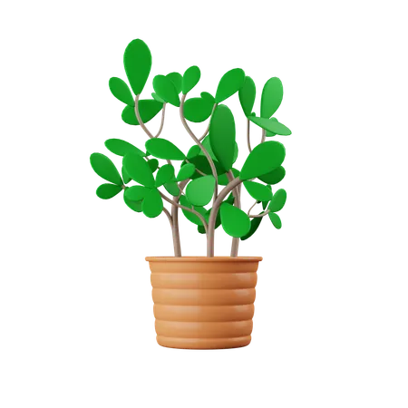 Plant Pot  3D Icon