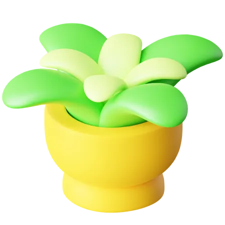 Plant Pot  3D Icon