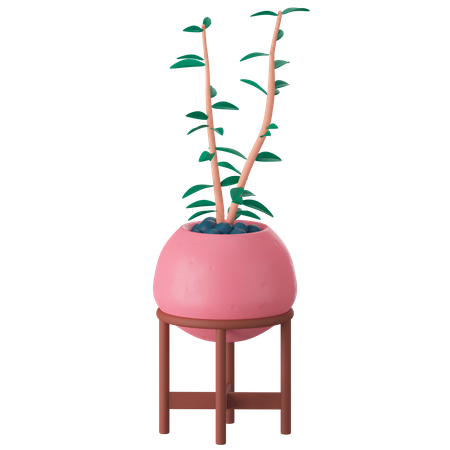 Plant Pot  3D Icon