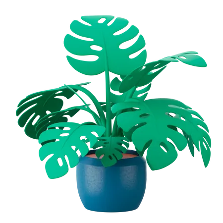 Plant Pot  3D Icon